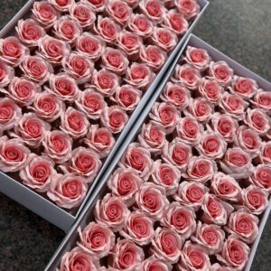 Рожева мильна двокольорова троянда